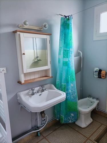 La salle de bains est pourvue d'un lavabo, de toilettes et d'un rideau de douche. dans l'établissement Itzala, à Andernos-les-Bains