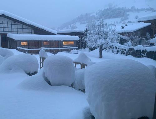 a yard covered in snow with a train in the background at Appartement Alpenhof Wildschönau in Niederau