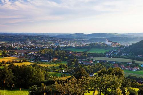 a view of a city from a hill at Appartements am Landschaweg in Weiz