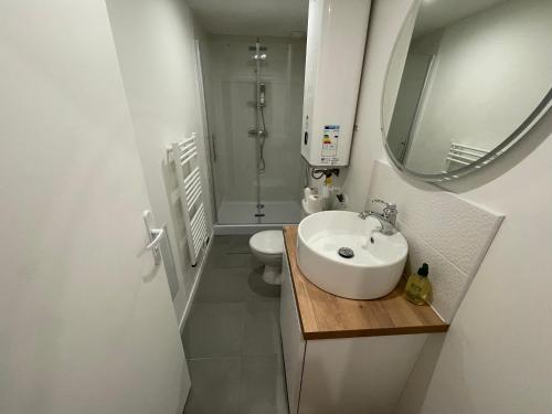 een witte badkamer met een wastafel en een spiegel bij Le nouveau Roubaix in Roubaix