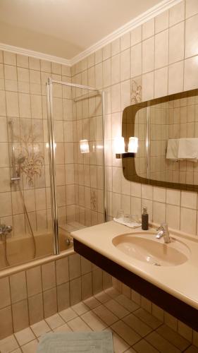 ein Bad mit einem Waschbecken, einer Dusche und einem Spiegel in der Unterkunft Gasthof Pils in Eschenau
