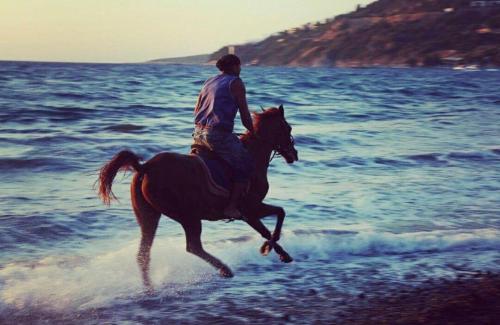 una persona montando un caballo en la playa en Equestrian and Beach Club en Bodrum