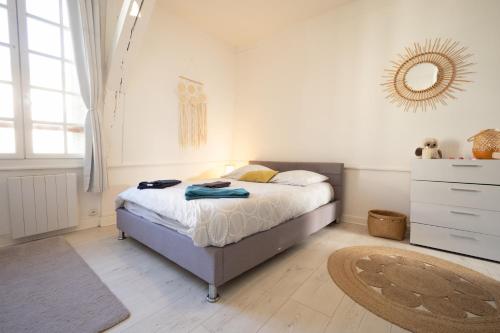 a bedroom with a bed and a mirror on the wall at La Chouette de la Cathédrale - Calme - Jardin - Wifi in Troyes