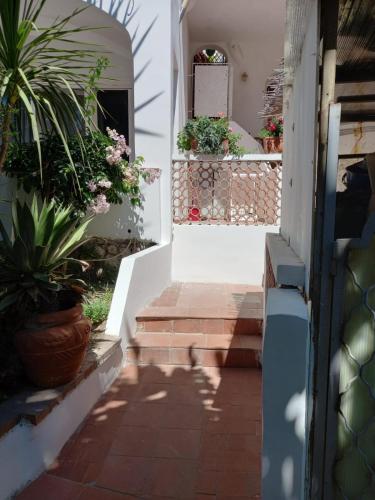 una escalera con macetas en una casa en CAPRI RESIDENCE, en Capri
