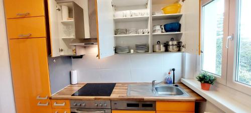 eine kleine Küche mit Spüle und Fenster in der Unterkunft Helles Apartment mit Balkon am Großen Garten nahe Stadtzentrum in Dresden