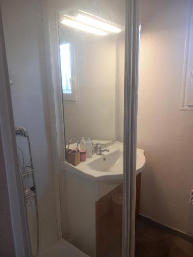 une salle de bain avec un lavabo et un miroir dans l'établissement Villas du lac Appart 4 à 6 personnes, à Soustons