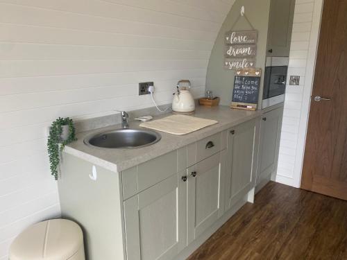 a bathroom with a sink and a counter top at Luxury Pod Cabin in beautiful surroundings Wrexham in Wrexham