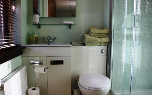 a bathroom with a toilet and a sink and a shower at Fairy Glen Cottage in Uig