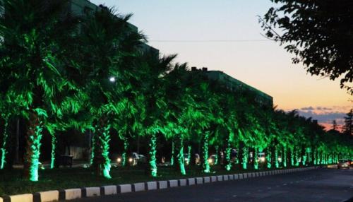 a row of trees with green lights on a street at Palms in Kutaisi in Kutaisi