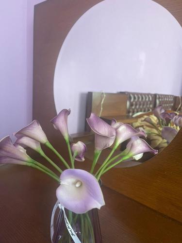 Fotografie z fotogalerie ubytování Hotel Odabade v destinaci Zugdidi