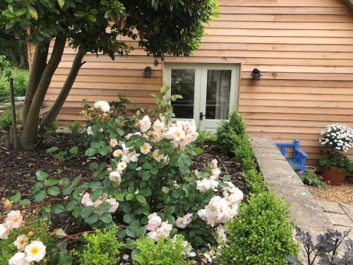 a garden with pink roses in front of a house at Stylish Cottage in the Pewsey Vale in Marlborough
