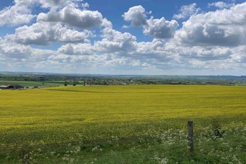 a green field with a fence and a field of flowers at Stylish Cottage in the Pewsey Vale in Marlborough