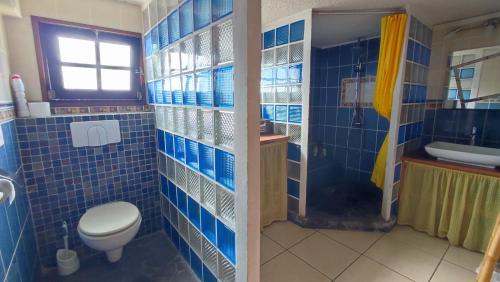 Baño de azulejos azules con aseo y lavamanos en Chez Nadine & Patrick, en Saint-Paul