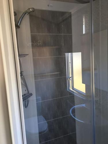 a bathroom with a shower with a glass door at Sterlochy lodge in Boat of Garten