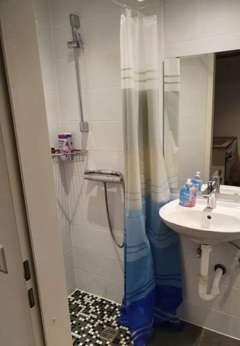a bathroom with a shower and a sink at Nice studio in Pankow in Berlin
