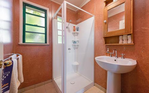 a bathroom with a shower and a sink at Pitstop Lodge Guesthouse B&B in Warwick