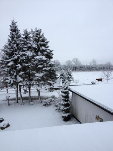 Troldegaarden Guesthouse durante el invierno