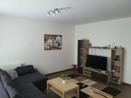 a living room with a couch and a tv at Park West Apartment - Free Parking in Budapest