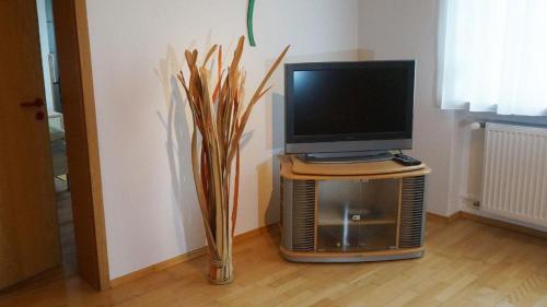 a vase with a tv on a stand next to a television at Ferienwohnung Einberger-Schinabeck in Grafenau