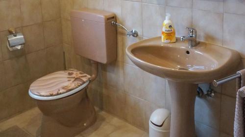 a bathroom with a toilet and a sink at Ferienwohnung Einberger-Schinabeck in Grafenau