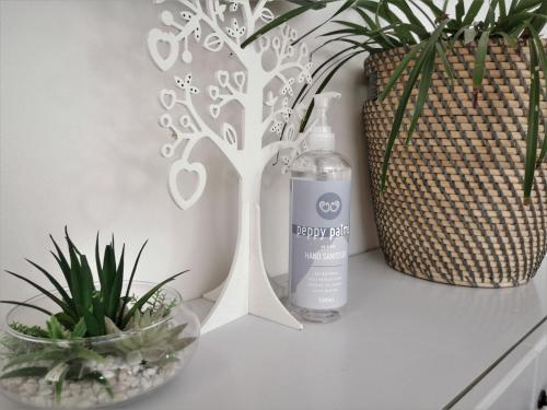a table with a bottle of soap and two plants at Sydney Meets Miranda, Comfy 4 Bedrooms Corner House in Miranda
