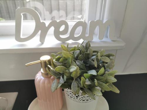 a vase with a plant in it next to a window at Sydney Meets Miranda, Comfy 4 Bedrooms Corner House in Miranda