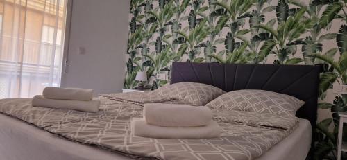 Apartament Meduza
