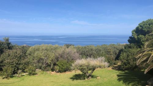 a view of the ocean from a field with trees at Villa Perenaccio in Corbara