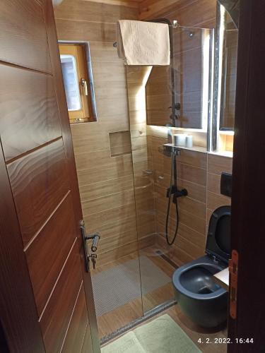 a bathroom with a toilet and a glass shower at Rooms and apartmants Mirovic in Kolašin