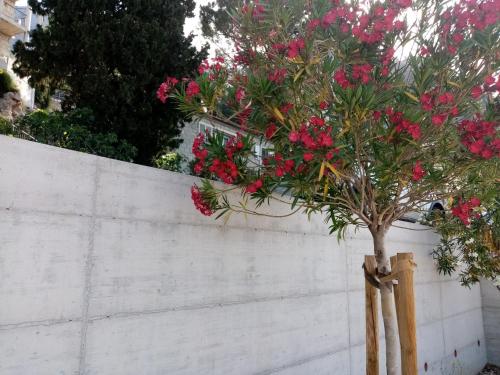 Un jardín fuera de Apartment Žiži