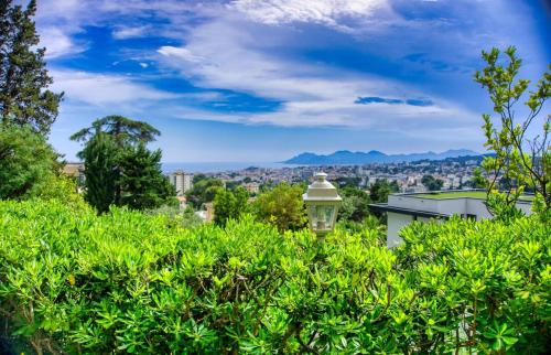 Ref SHALIMAR - Palmes d'Or Properties – Photos 3