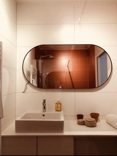 a bathroom with a sink and a mirror on the wall at Appart boheme chic in Annecy