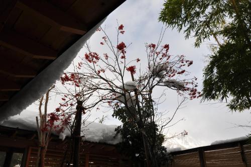 a tree with red flowers in front of a building at Yuzawa Grand Hotel in Yuzawa