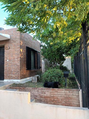 Eine schwarze Katze, die vor einem Haus auf einer Ziegelwand liegt. in der Unterkunft Casa Los Lapachos in La Punta