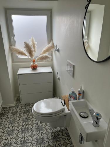 een badkamer met een toilet, een wastafel en een spiegel bij Heckenstübchen in Simmerath