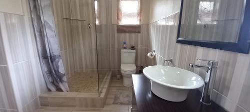 a bathroom with a shower and a toilet and a sink at BUTRIN GUEST HOUSE in Welkom