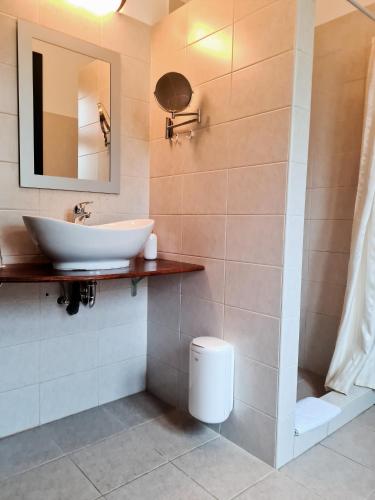 a bathroom with a sink and a mirror at Kosbor Panzió in Magyarszombatfa