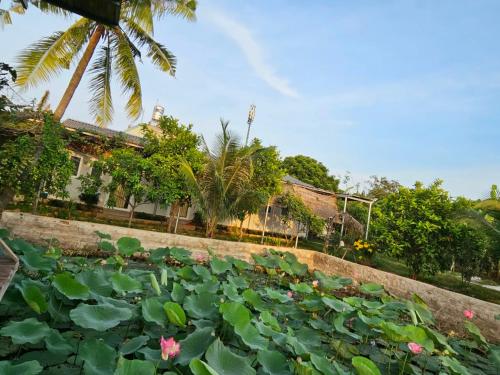 un jardín con almohadillas de lirio frente a un edificio en Homestay Sen & Zen Villa Vũng Tàu en Vung Tau