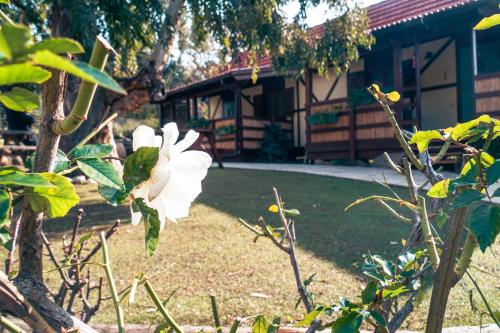 Gallery image of ויטראז' ההר in Neve Ativ