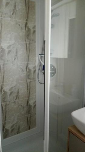 a bathroom with a glass shower with a sink at Hoburne Devon Bay stunning 3 bed luxury lodge in Woodland Grove in Paignton