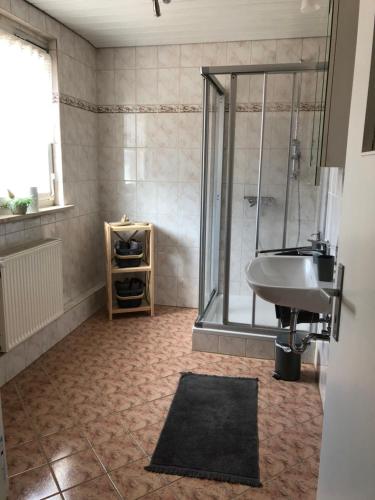 a bathroom with a shower and a sink at Villa Rosa in Bad Rodach