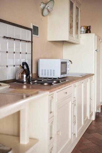 a kitchen with a sink and a microwave at Fenil Conter Cottage & Suite in Pozzolengo