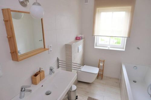 y baño con lavabo, aseo y espejo. en Útulný horský apartmán v Jizerských horách, en Bedřichov