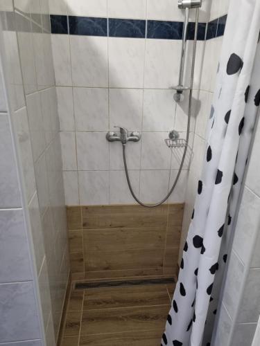 a shower with a shower curtain in a bathroom at Penzion Arcadia in Nové Zámky