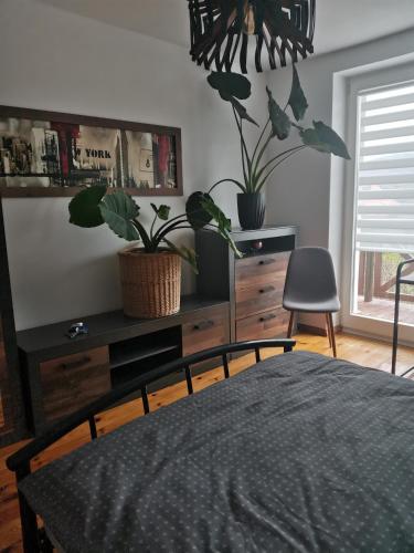 Katil atau katil-katil dalam bilik di Apartament Forest