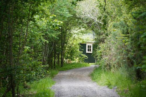 a gravel road leading to a small house in a forest at Oak Shepherds Hut in Wootton Fitzpaine