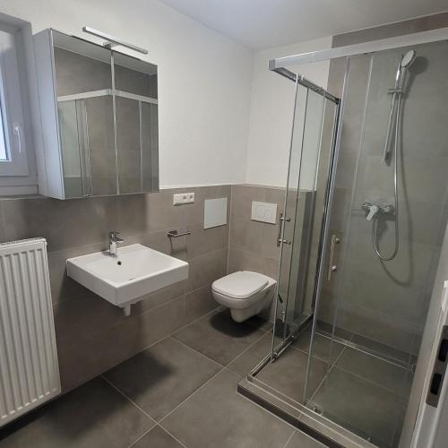 a bathroom with a toilet and a sink and a shower at Apartments am Kochertal in Oedheim
