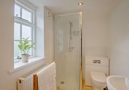 a bathroom with a shower and a toilet and a sink at Chantry Place in Long Melford