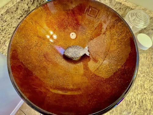 Galeriebild der Unterkunft Mountain Harbor Queen Guest Room on Lake Ouachita in Mount Ida