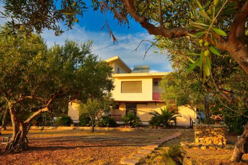 a yellow house with trees in front of it at Case Bongiovi in Sciacca